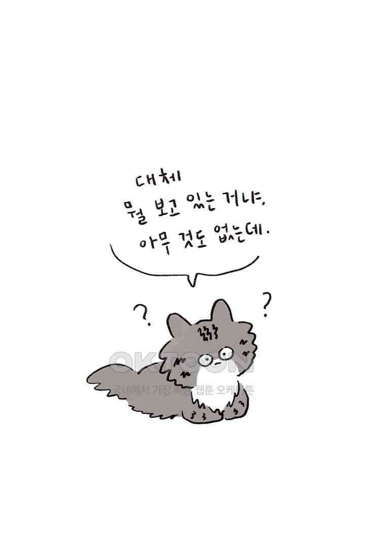 은동스+옹동스 은동스 240화． 도도한 고양이 4