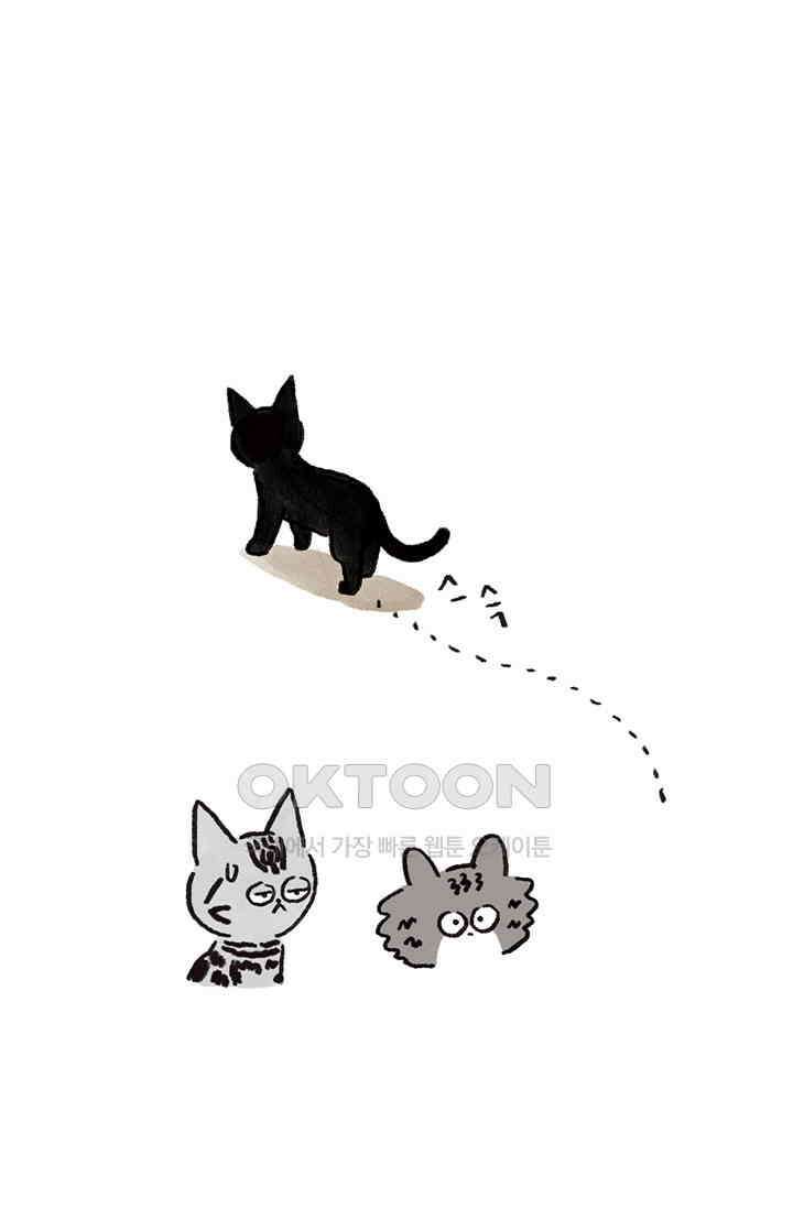 은동스+옹동스 은동스 240화． 도도한 고양이 5