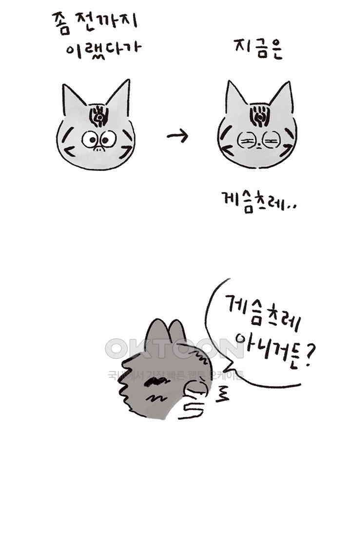 은동스+옹동스 은동스 244화． 은동의 컨셉 5