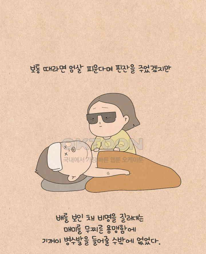 퀴퀴한 일기 ＃558． 매미 특급 33