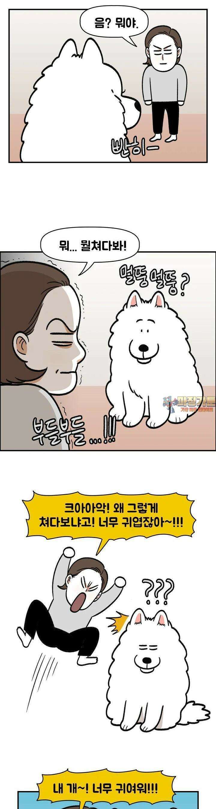 극한견주 외전 3화 솜이는 여섯 살 1