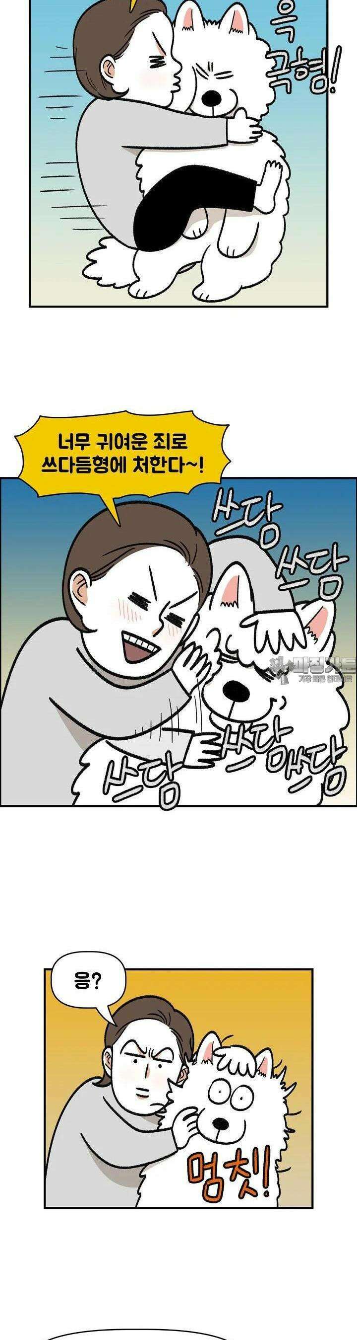 극한견주 외전 3화 솜이는 여섯 살 2