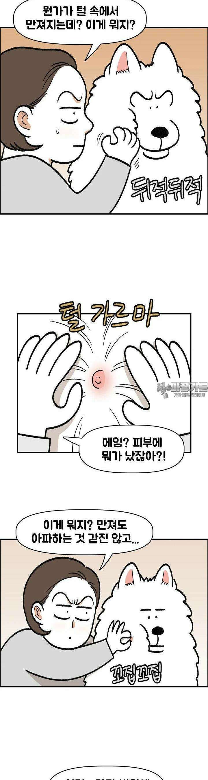 극한견주 외전 3화 솜이는 여섯 살 3