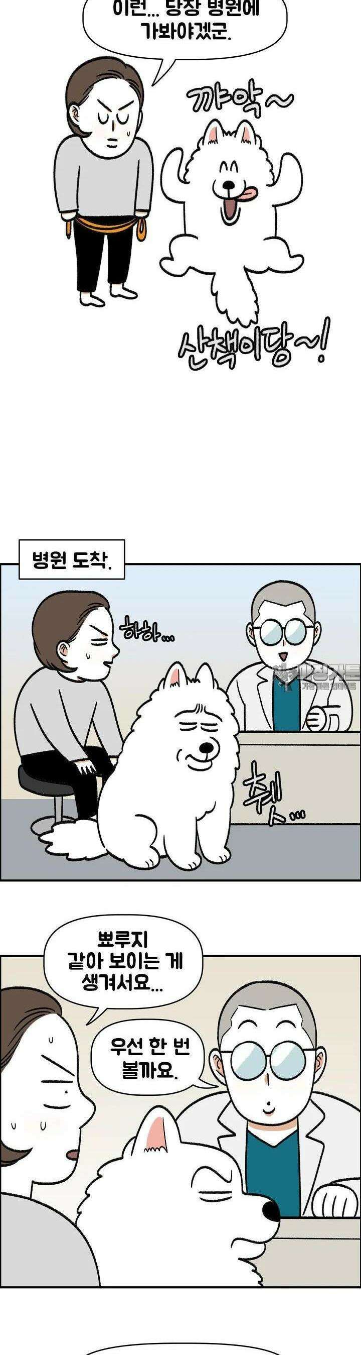 극한견주 외전 3화 솜이는 여섯 살 4