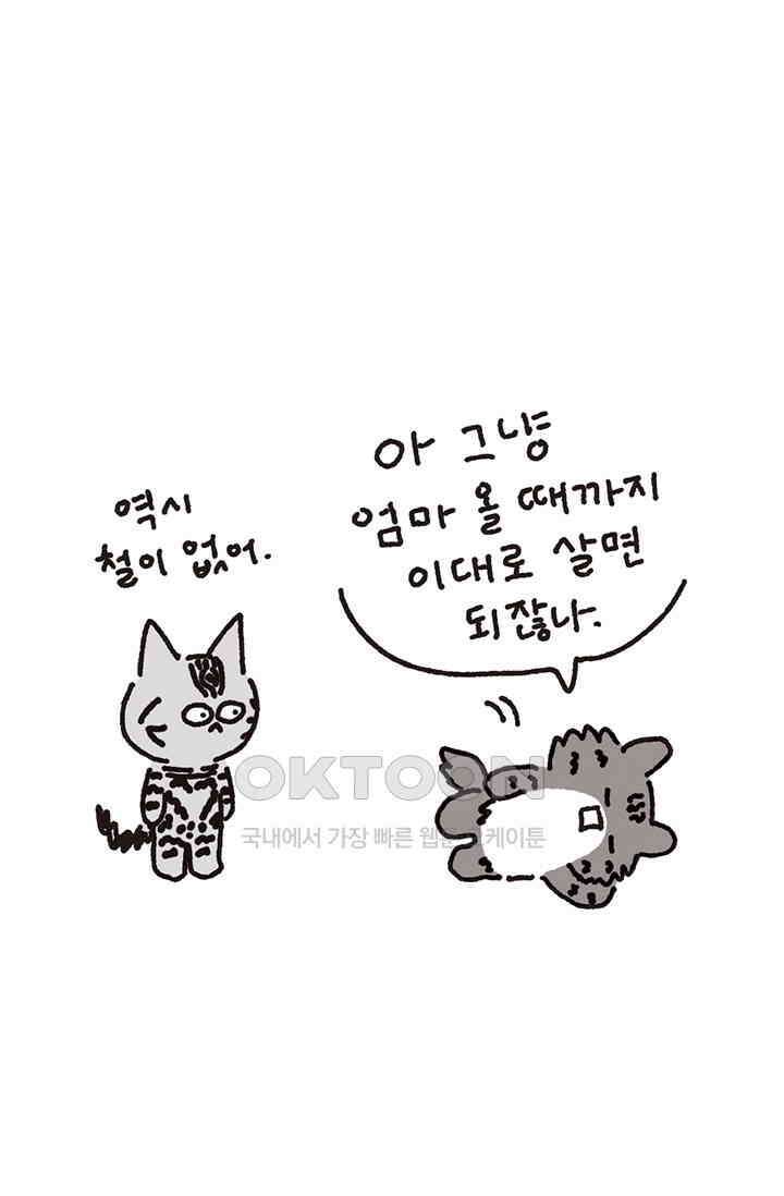 은동스+옹동스 은동스 300화． 옹동스 게스트 하우스 7