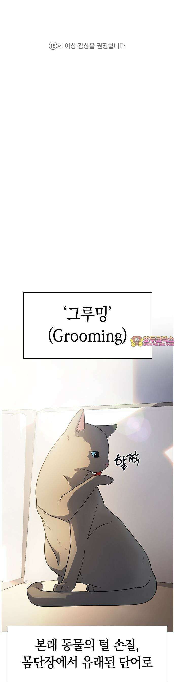 잘 헤어지는 방법 1화: 그루밍 1