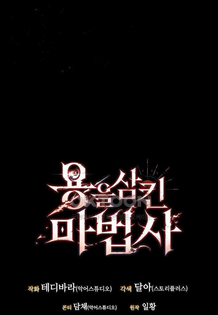 용을 삼킨 마법사 79화 135
