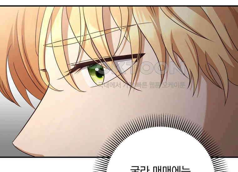변경백 서자는 황제였다 47화 14