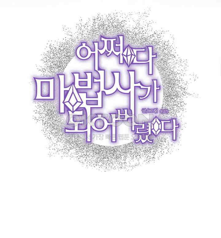 어쩌다 마법사가 되어버렸다 30 2