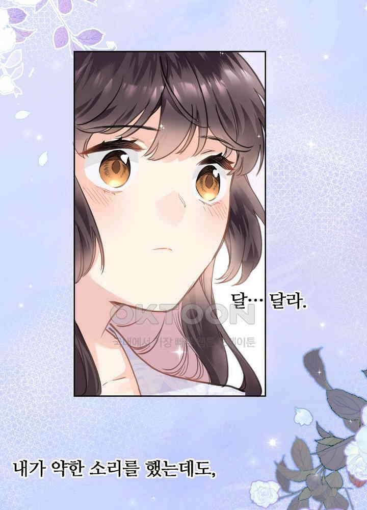 어쩌다 마법사가 되어버렸다 85 3