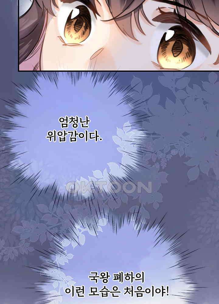 어쩌다 마법사가 되어버렸다 89 9