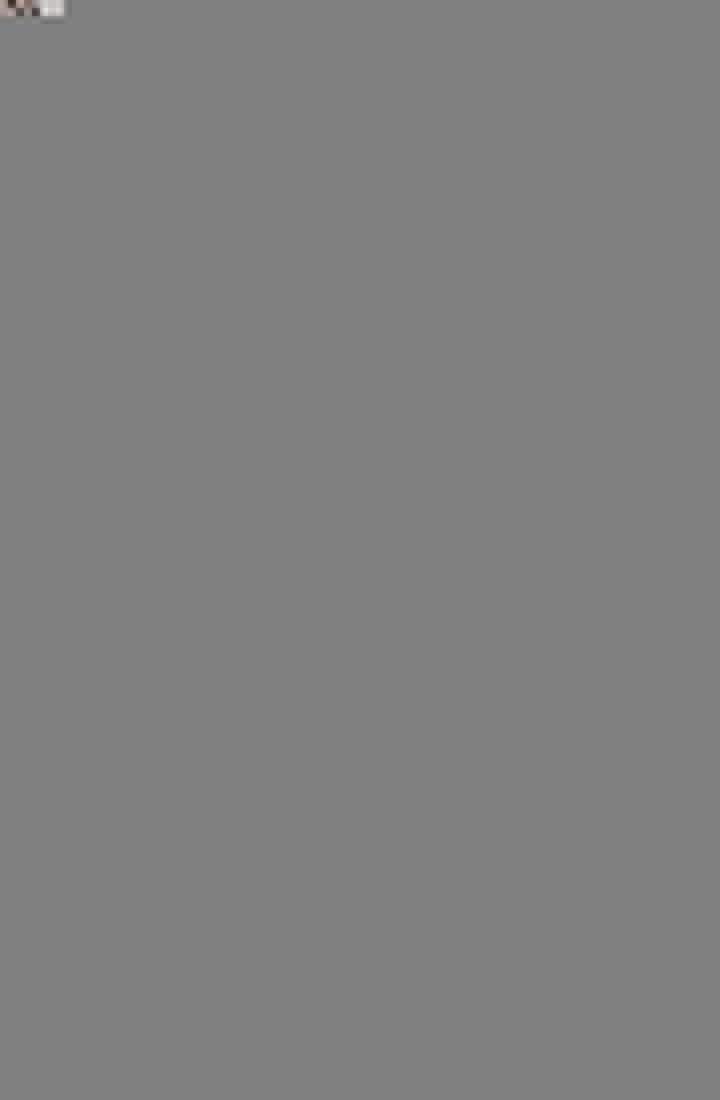 십이지신 용 4화 24