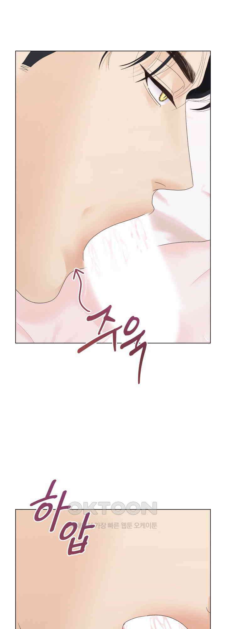 범의 요람 31화 12
