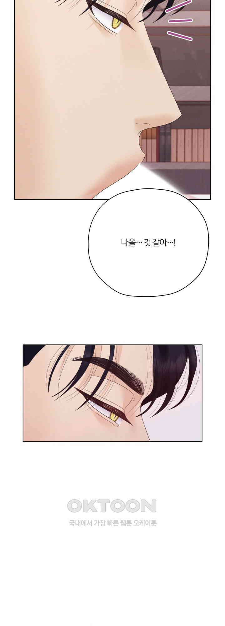 범의 요람 31화 18