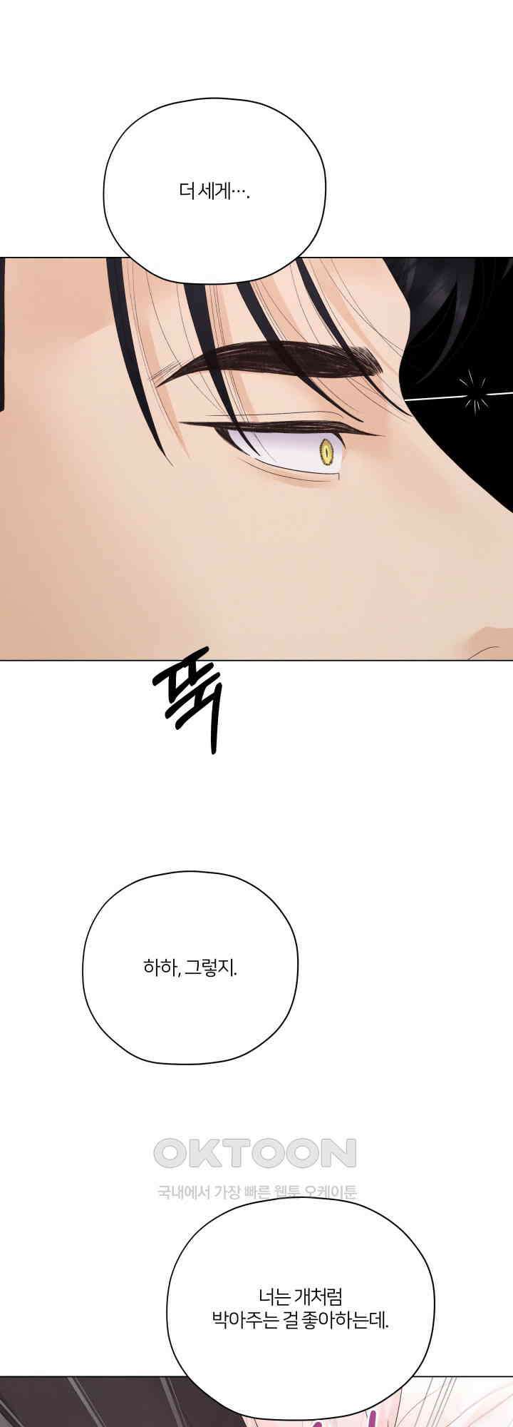 범의 요람 31화 60