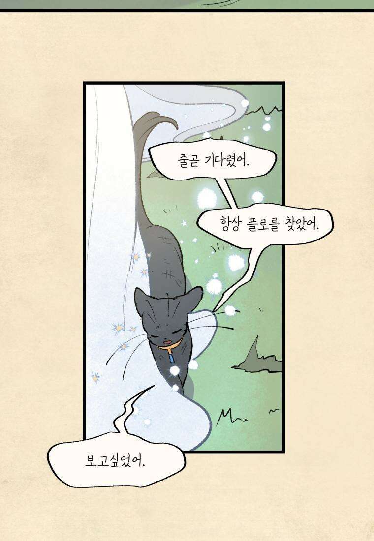 별똥별이 떨어지는 그 곳에서 기다려 34화 38