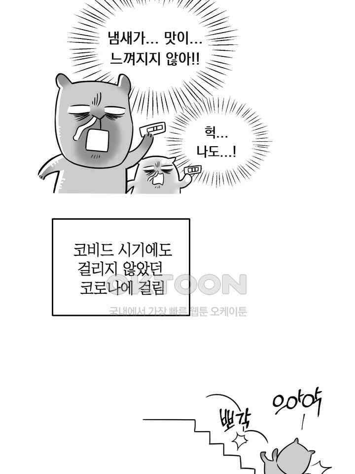 BDSM 기본지침서 시즌1 후기 4