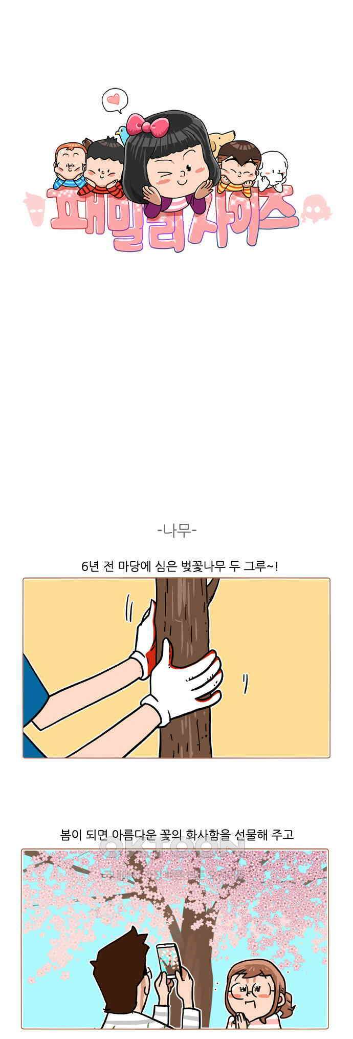패밀리 사이즈 시즌2 388화 1