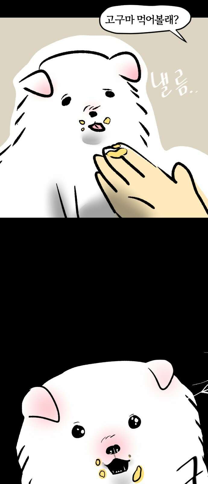 개집사 33화 천고견비 13