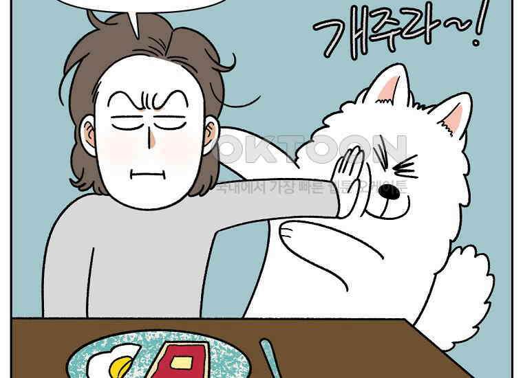 극한견주 시즌2 35화 언제나 배가 고픈 개 6