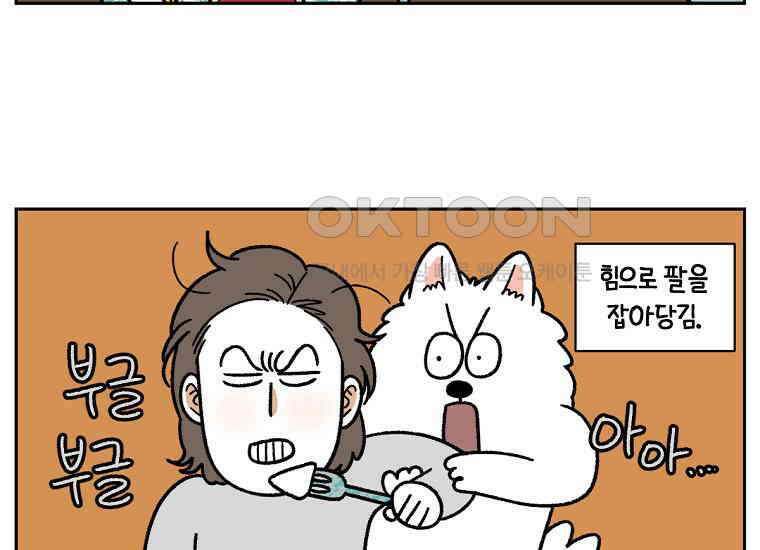 극한견주 시즌2 35화 언제나 배가 고픈 개 7