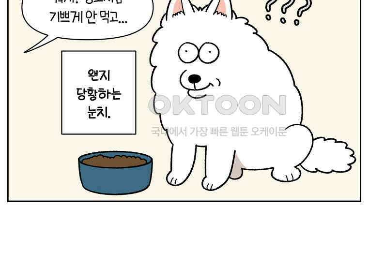 극한견주 시즌2 35화 언제나 배가 고픈 개 30
