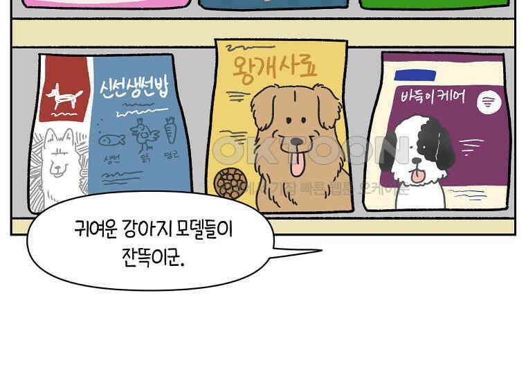 극한견주 시즌2 35화 언제나 배가 고픈 개 38