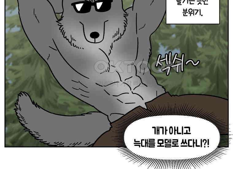 극한견주 시즌2 35화 언제나 배가 고픈 개 41