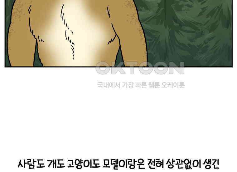 극한견주 시즌2 35화 언제나 배가 고픈 개 46