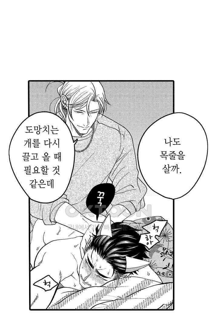 양키 군은 개가 되고 싶어 17화 10