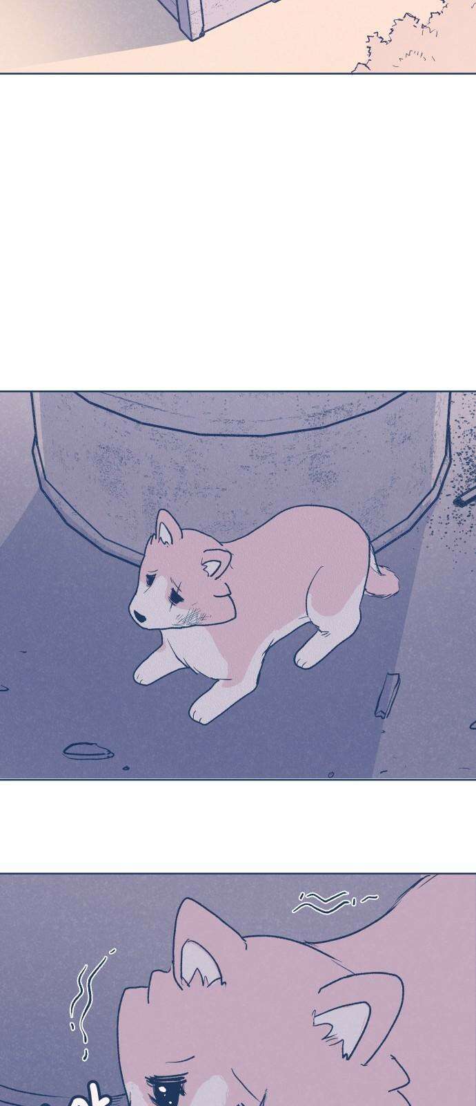 반려짐승 49화 2