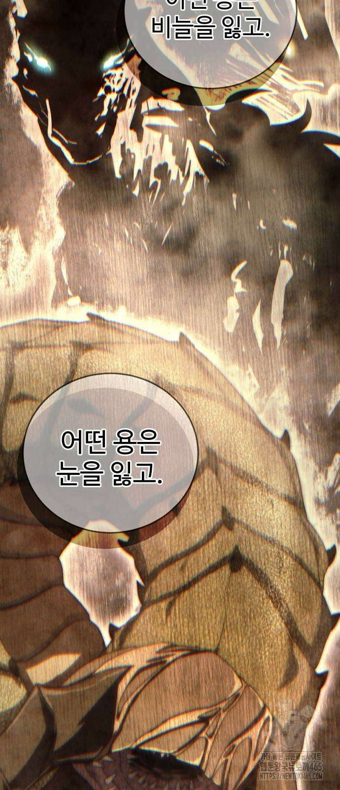 별을 품은 소드마스터 66화 13