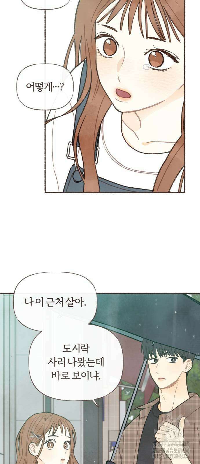 감정전이 13화 9