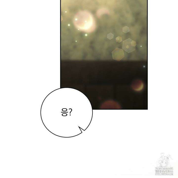 두 남편과의 결혼계약 53화 42