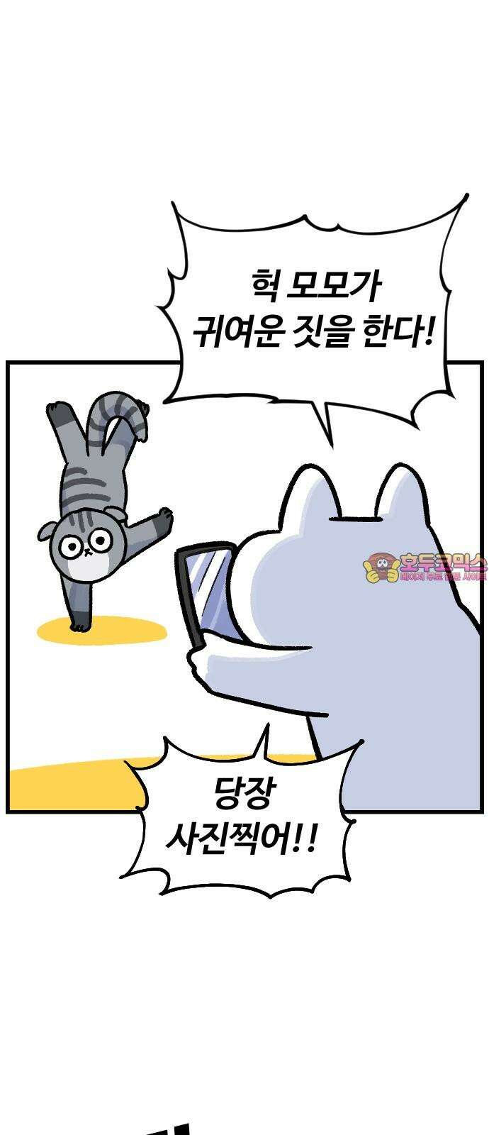 진돌히디만화 39화_다시 또이어트 1