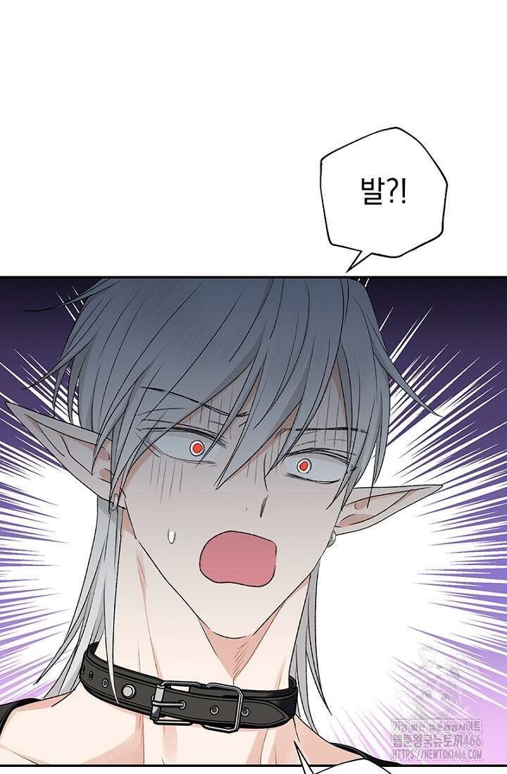 엘프의 짝짓기 31화 2