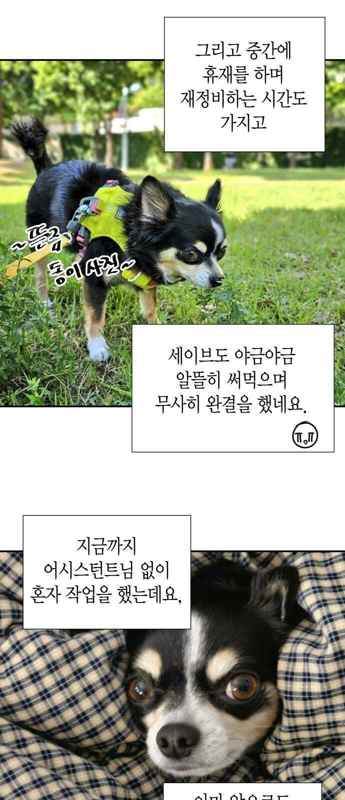 완벽한 파트너 후기 4
