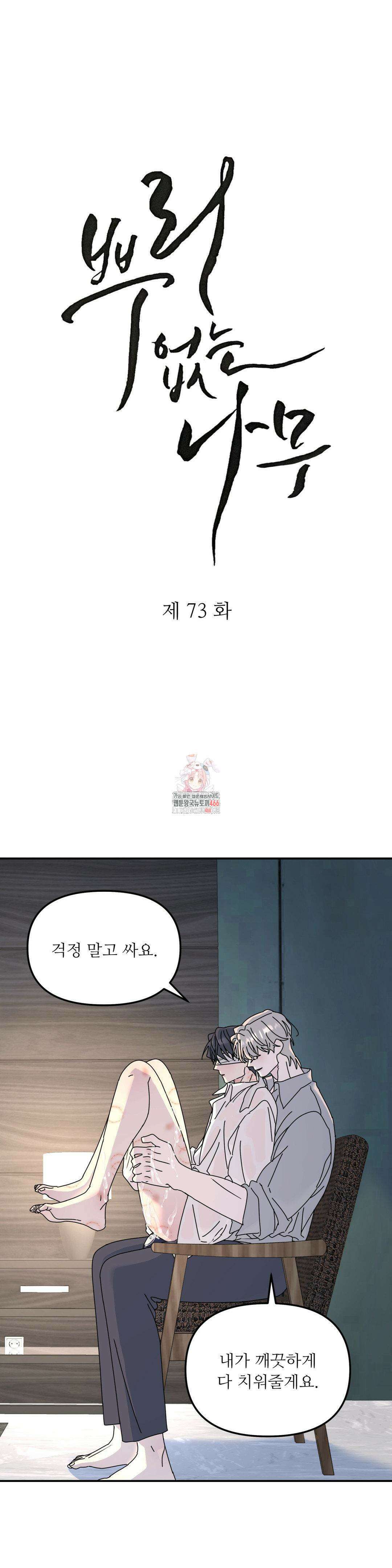 뿌리 없는 나무 73화 1