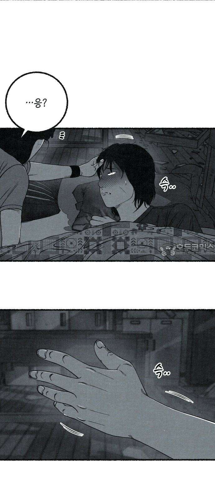 벌집 53화 39