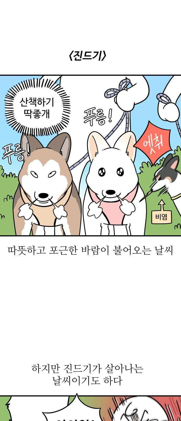 노곤하개 쇼츠 진드기 싫어 2
