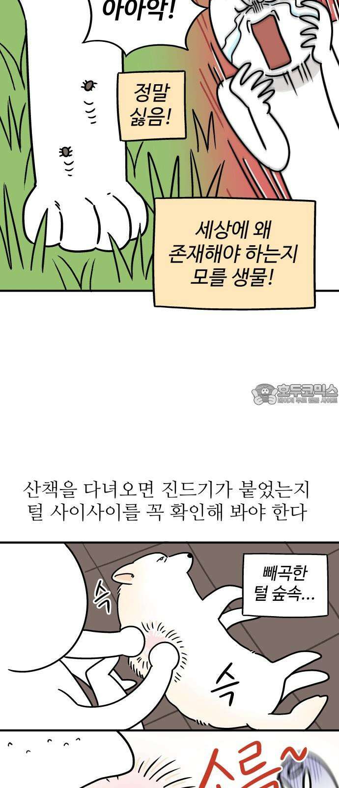 노곤하개 쇼츠 진드기 싫어 3