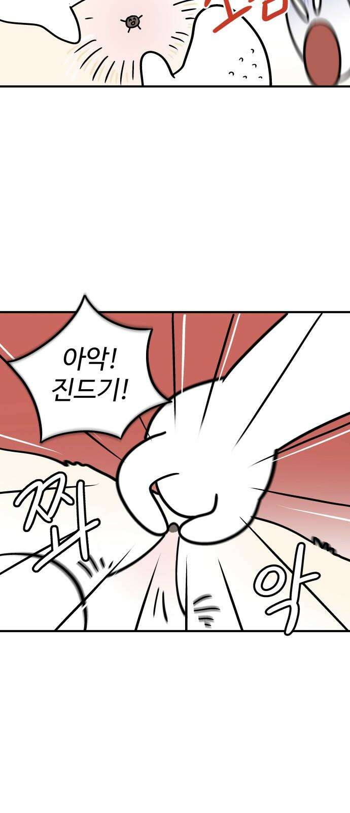 노곤하개 쇼츠 진드기 싫어 4