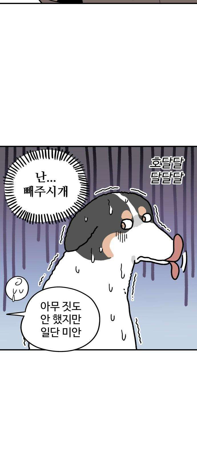 노곤하개 쇼츠 진드기 싫어 7