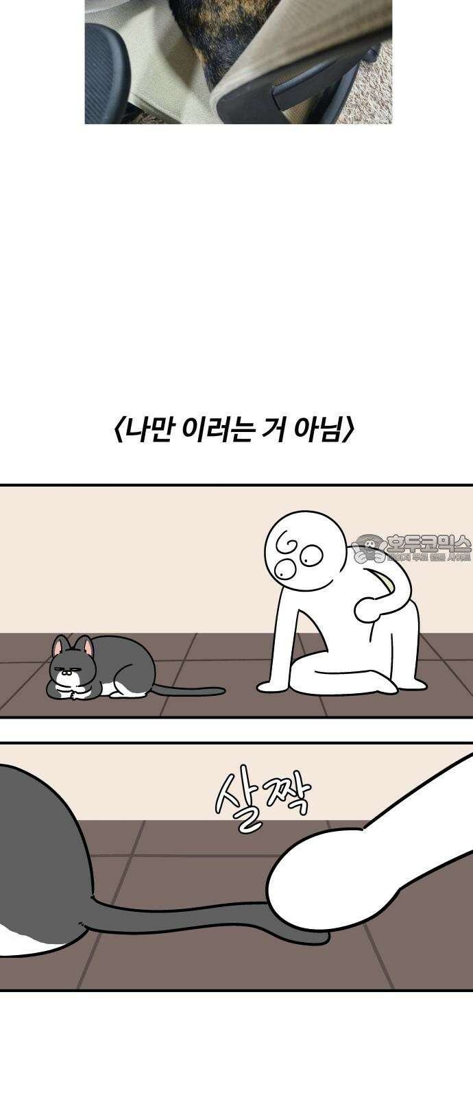 노곤하개 쇼츠 진드기 싫어 15