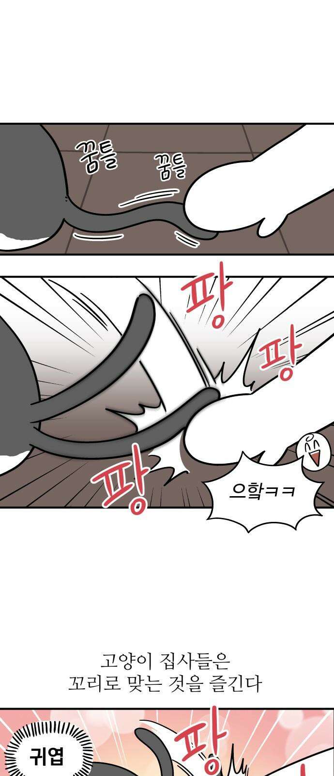 노곤하개 쇼츠 진드기 싫어 16