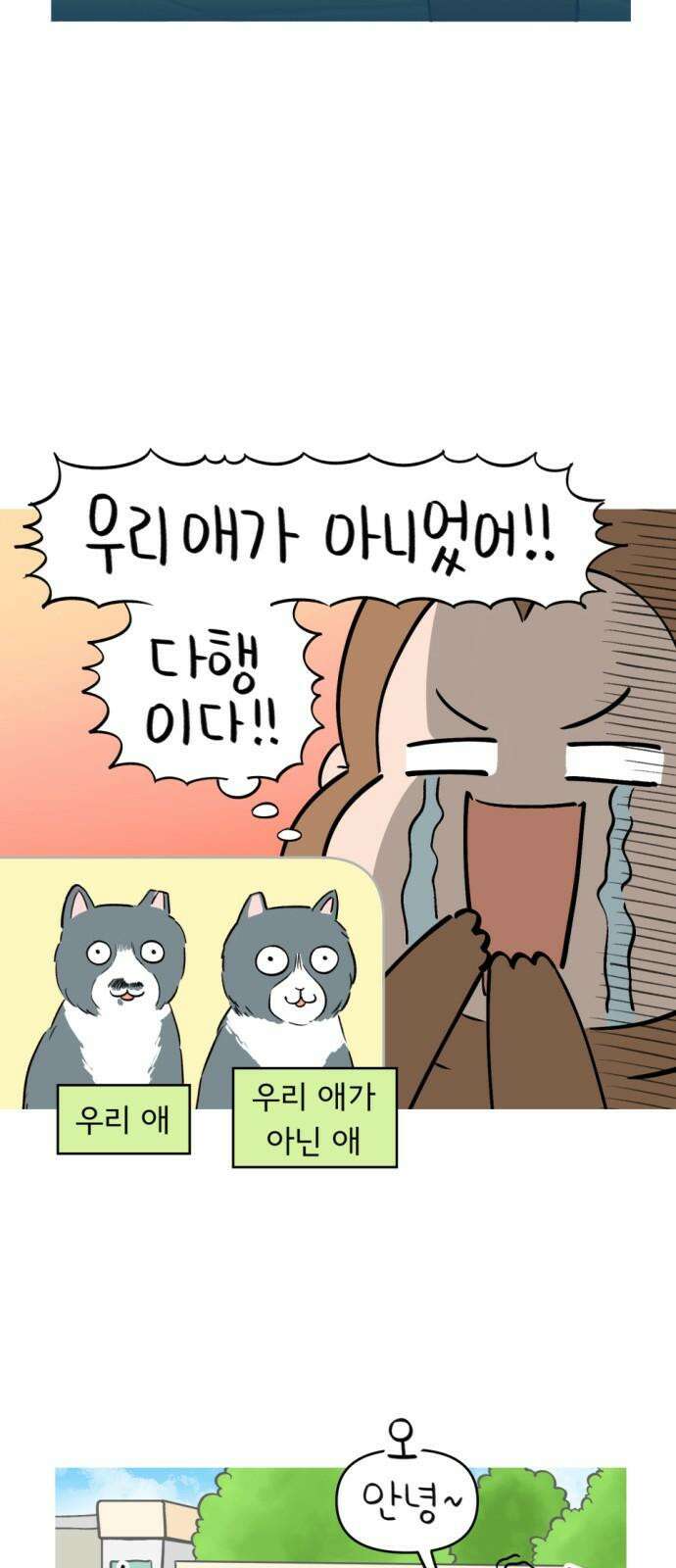 낢이 사는 이야기 - 계속되는 미미한 인생 20화 맹이가 집 밖에 나간 줄 알았다 7