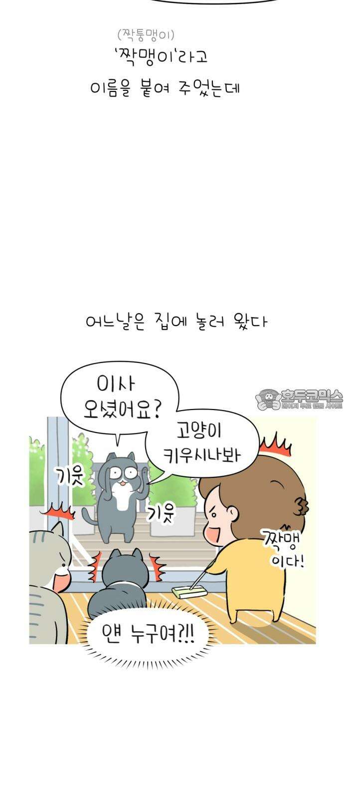 낢이 사는 이야기 - 계속되는 미미한 인생 20화 맹이가 집 밖에 나간 줄 알았다 9