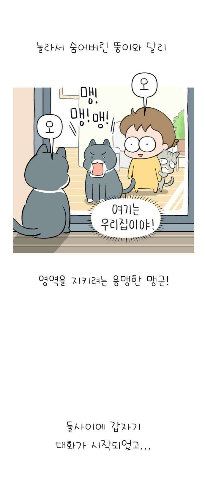 낢이 사는 이야기 - 계속되는 미미한 인생 20화 맹이가 집 밖에 나간 줄 알았다 10