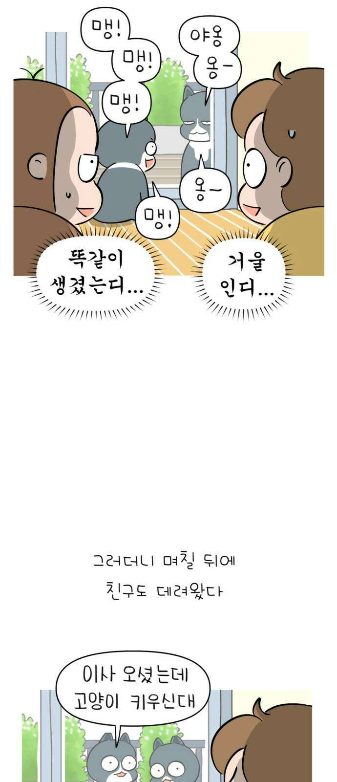 낢이 사는 이야기 - 계속되는 미미한 인생 20화 맹이가 집 밖에 나간 줄 알았다 11