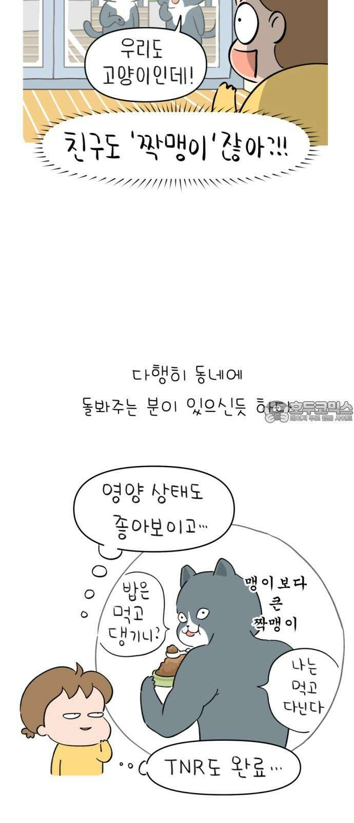 낢이 사는 이야기 - 계속되는 미미한 인생 20화 맹이가 집 밖에 나간 줄 알았다 12